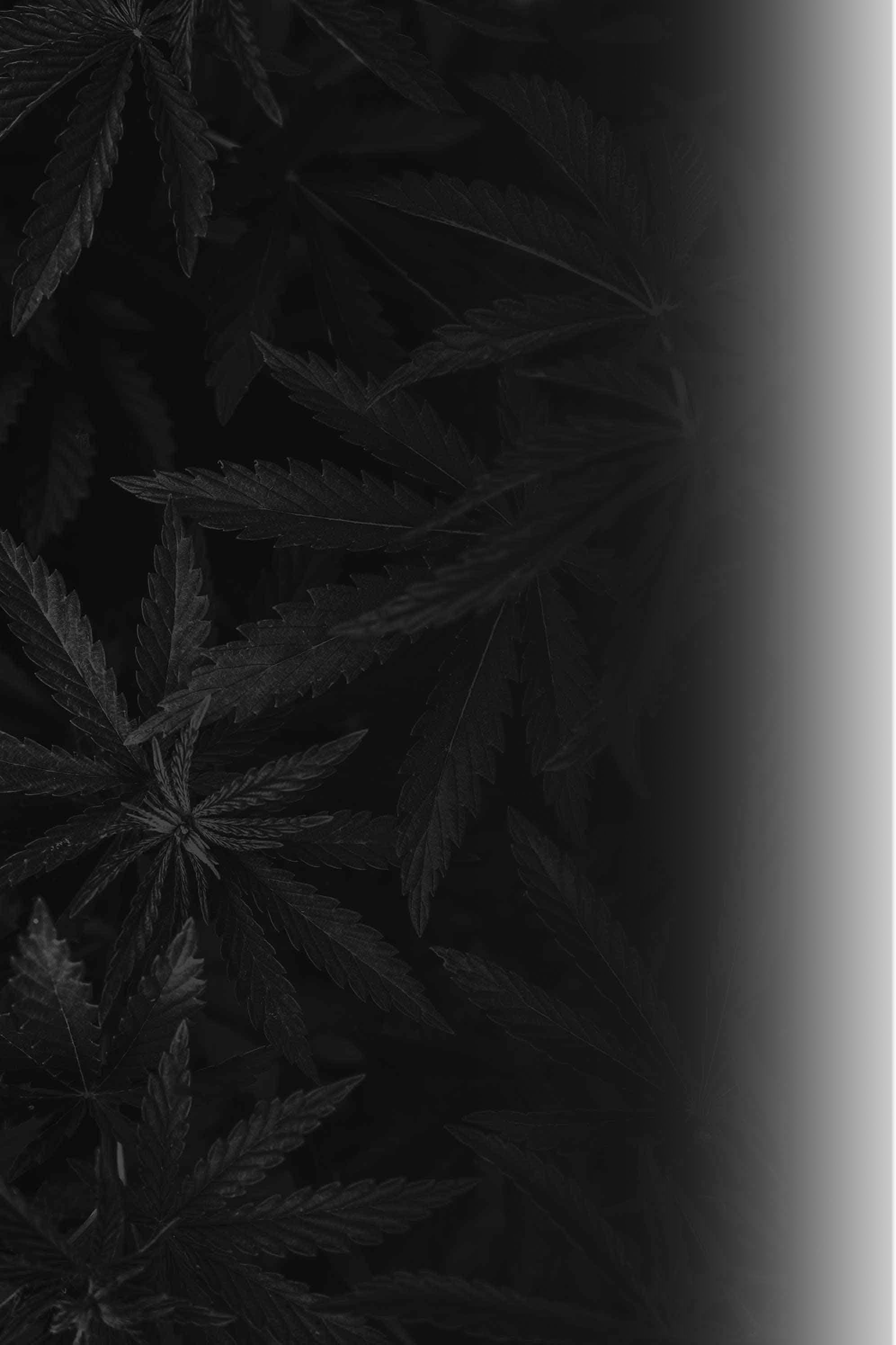 Green Room Cannabis